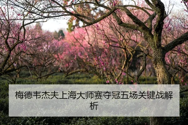 梅德韦杰夫上海大师赛夺冠五场关键战解析